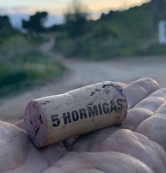 5 Hormigas