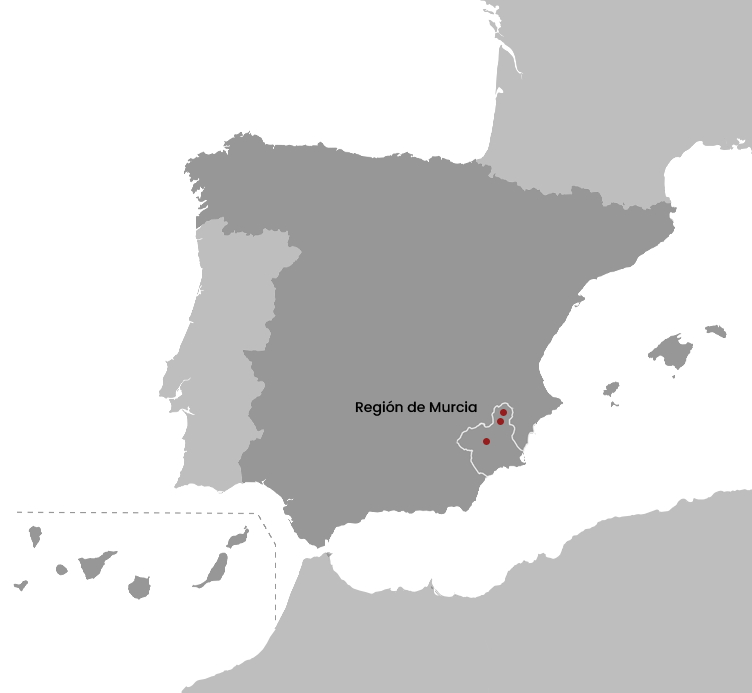 5 Hormigas – Mapa 5 Hormigas - Mapa